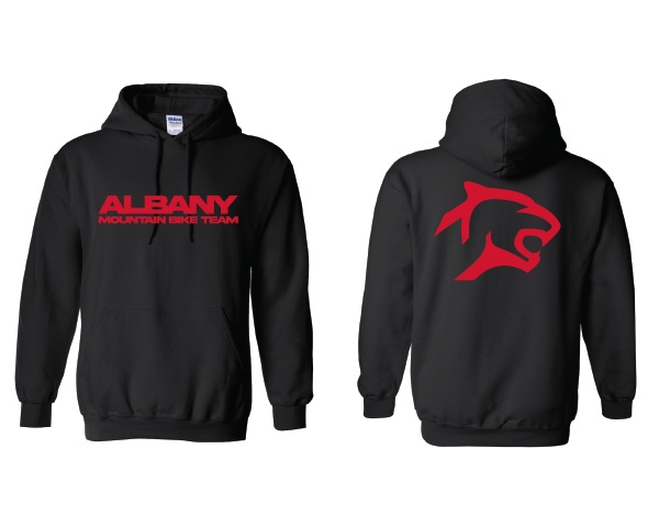 Albany-HS_2D-Casual-Hoodie-2