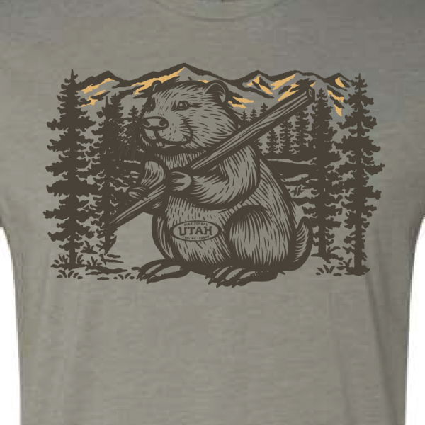 Beaver Mountain