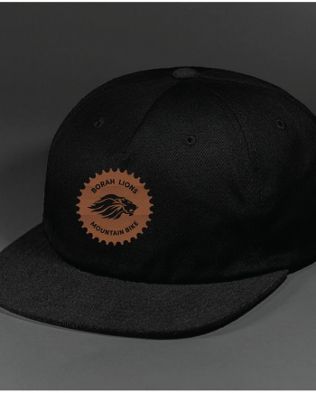 Borah Lions Hat 1