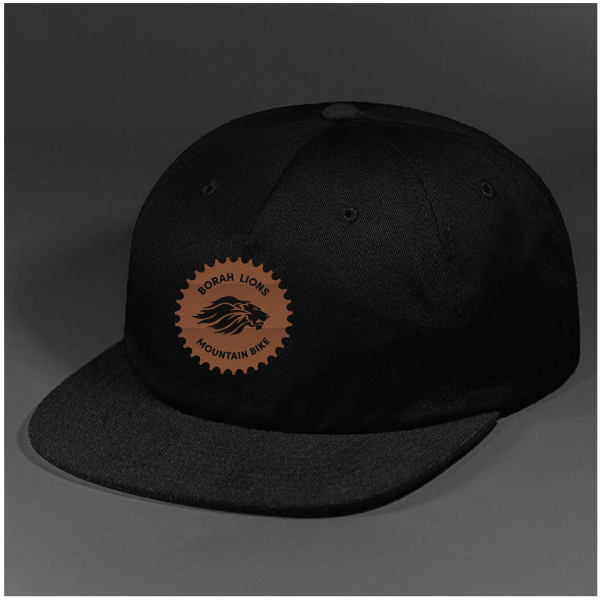 Borah Lions Hat 1
