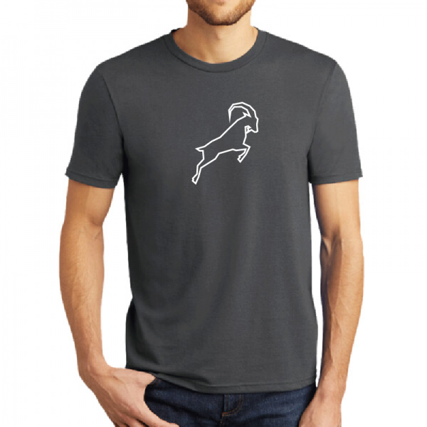 2026 Nebo Gray Logo Tee