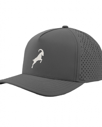 2026 Nebo Logo Gray Hat 1