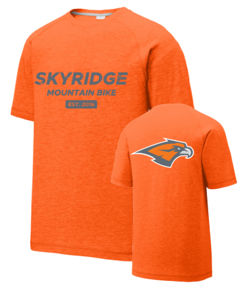 Skyridge-PosiCharge-TBlend