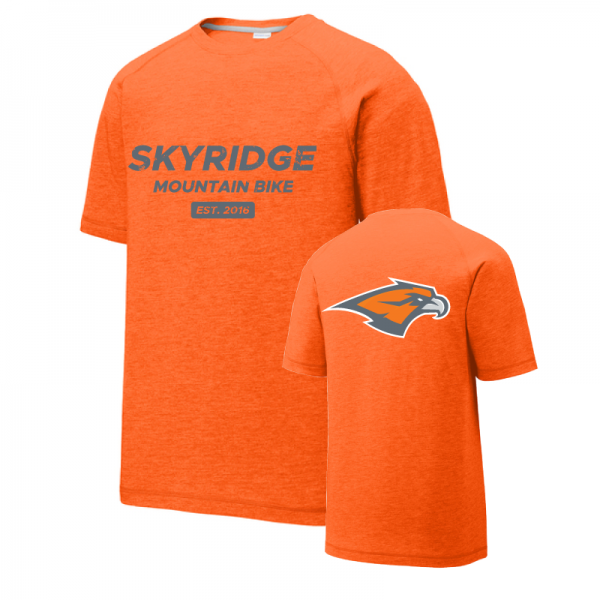 Skyridge-PosiCharge-TBlend